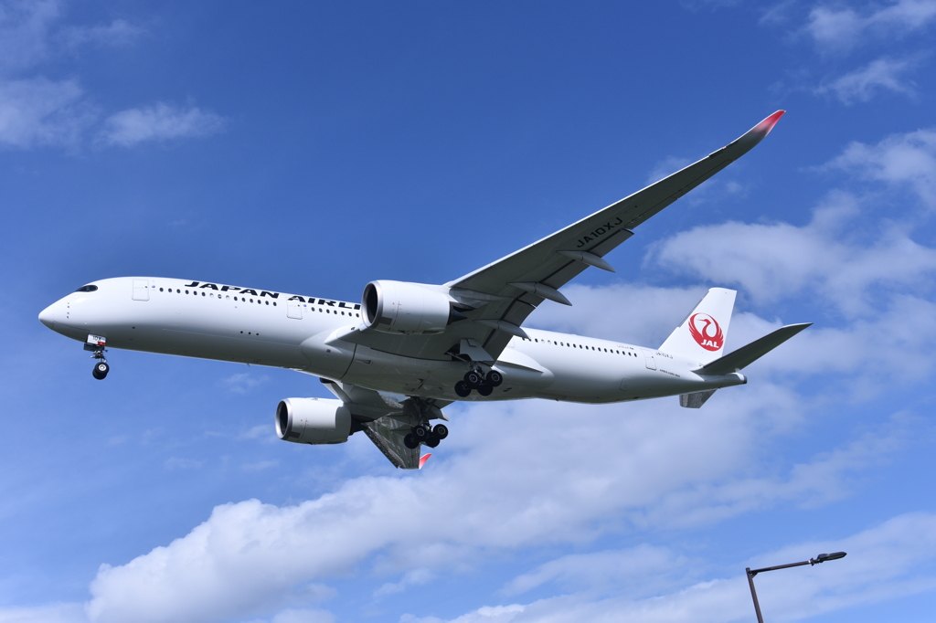 JAL 639