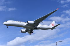 JAL 639