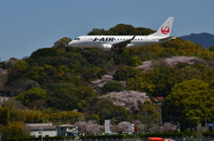 JAL 571