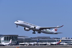 JAL 1163