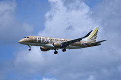 FDA 290