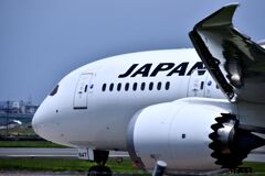 JAL 678