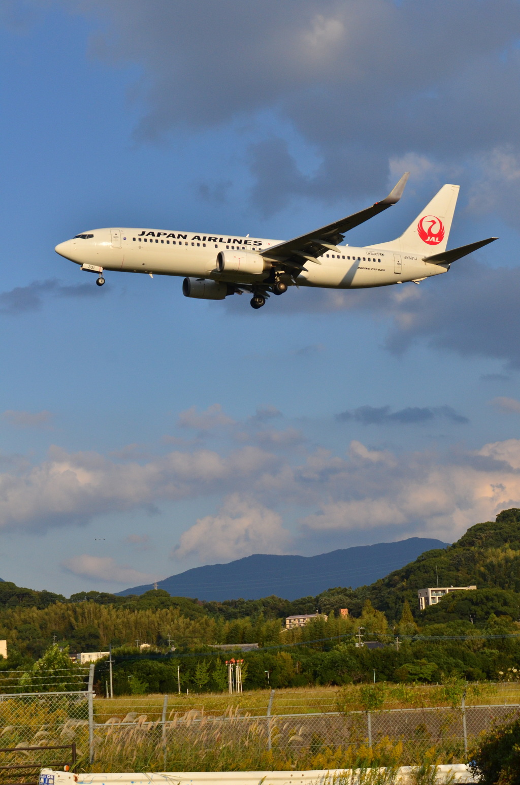 JAL 343