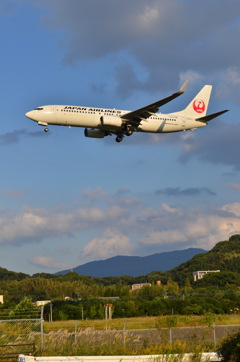 JAL 343