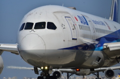 ANA 1283