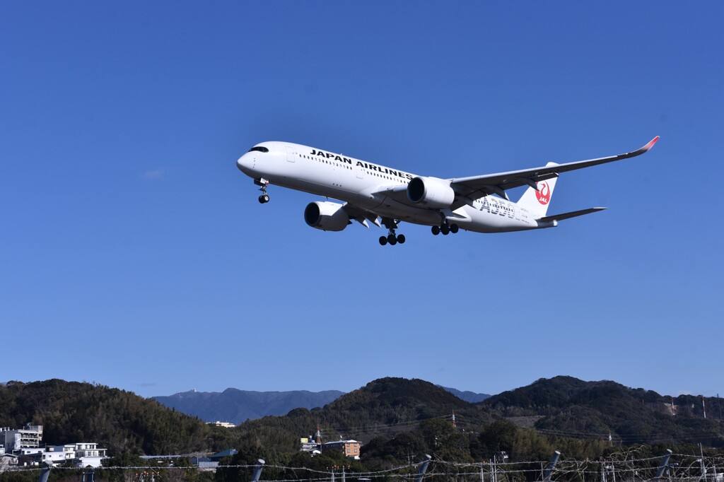 JAL 1253