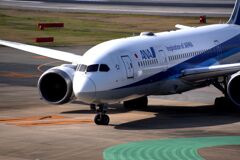 ANA 496