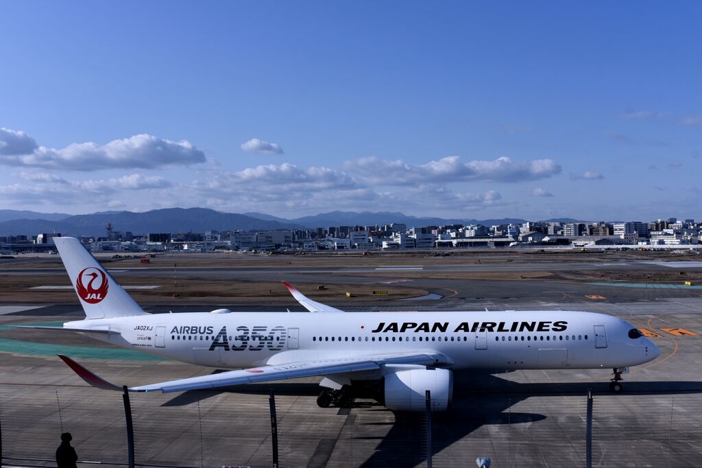 JAL 804