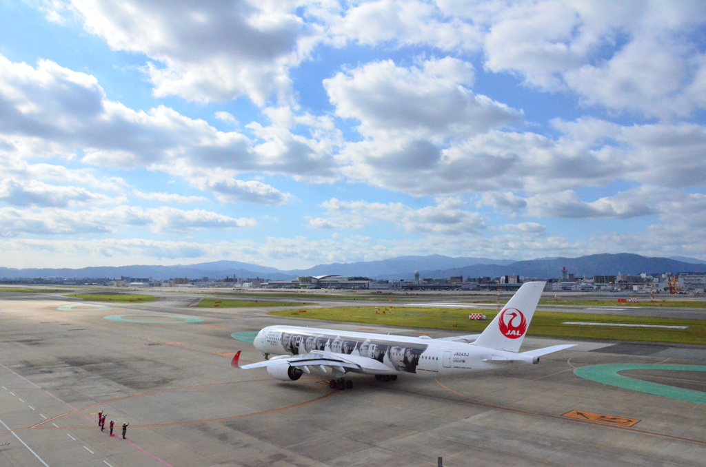 A350  JAL 06