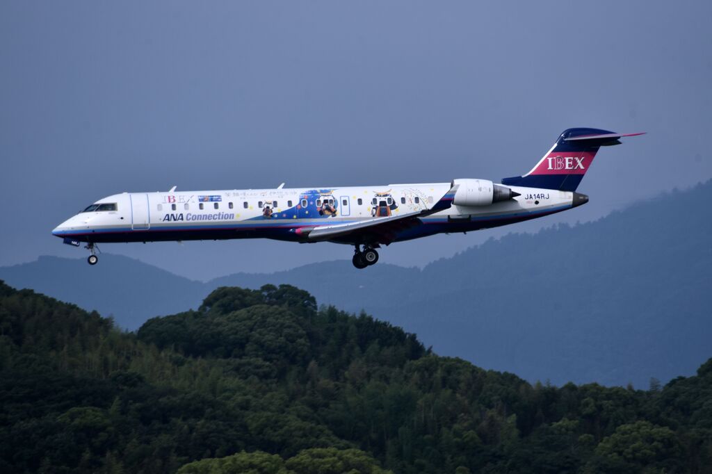 ANA 905