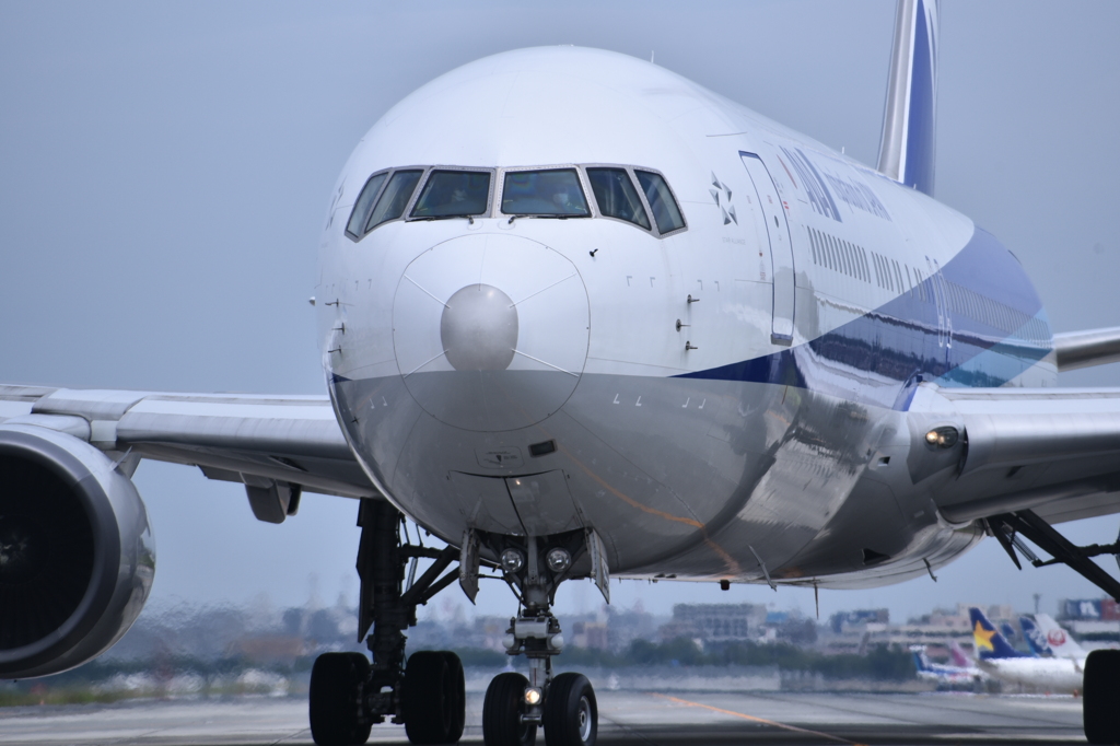 ANA 606