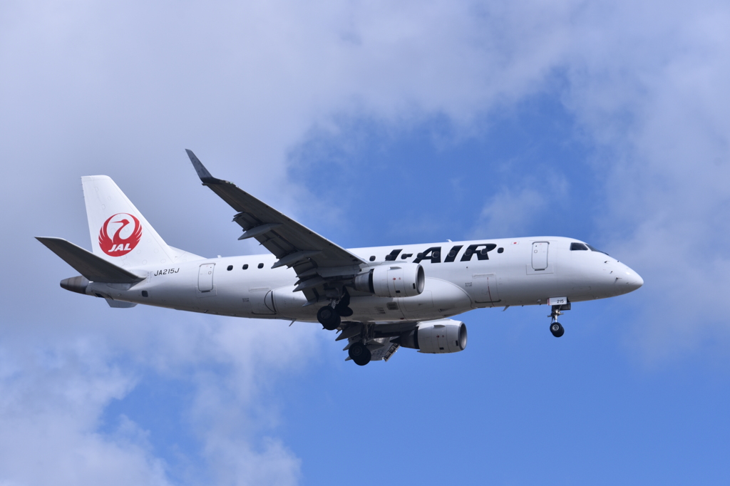 JAL 806