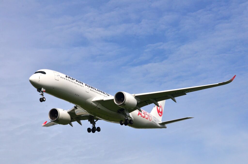 JAL 541
