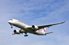 JAL 541