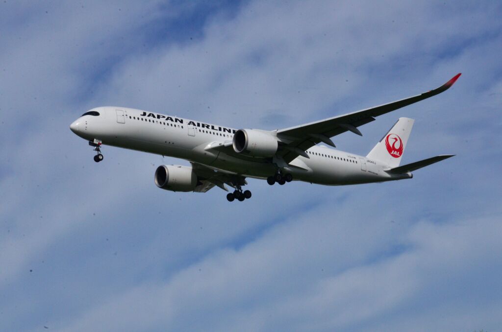 JAL 265