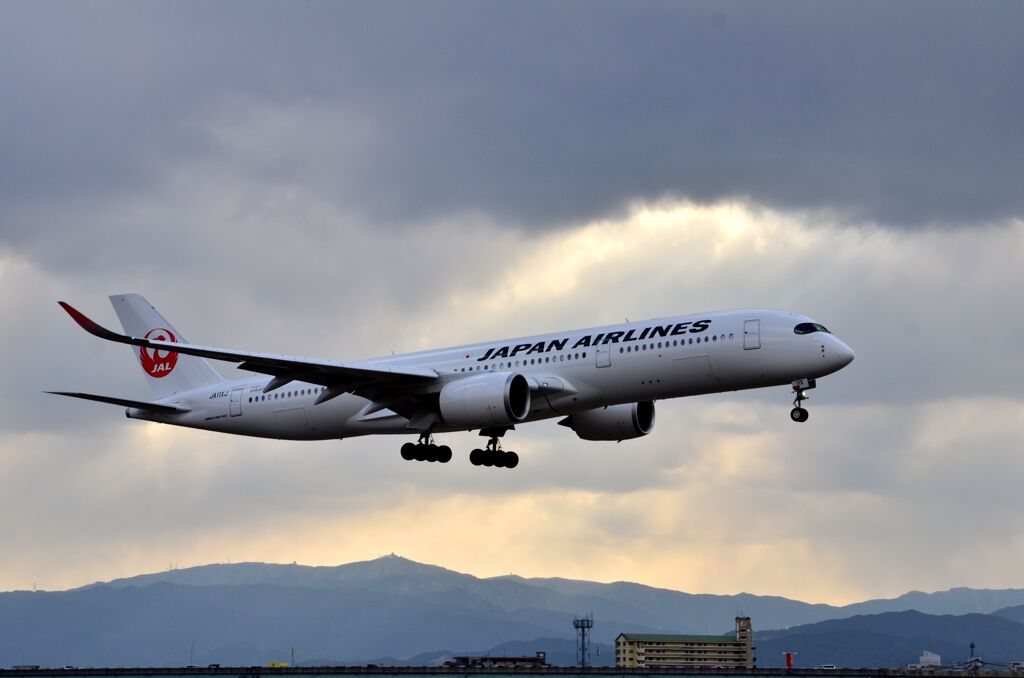 JAL 493