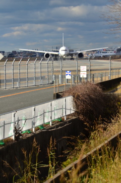 JAL390