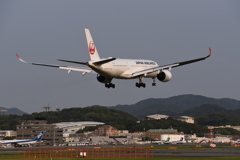 JAL 1166