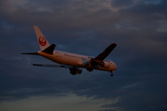 JAL 483