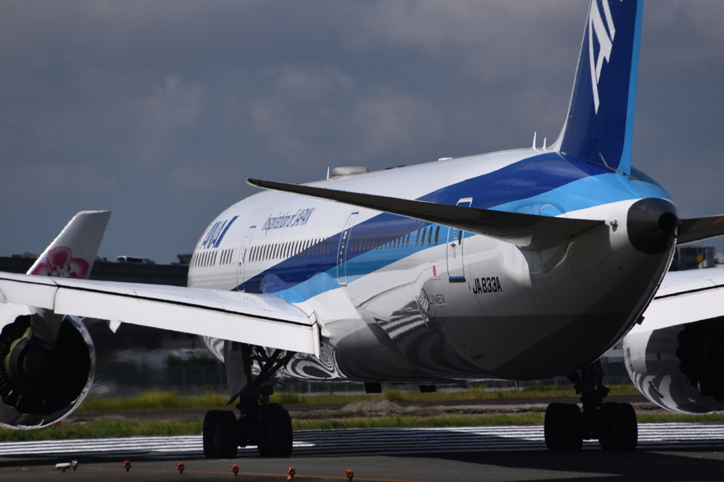 ANA 1002