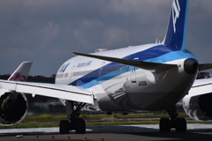 ANA 1002