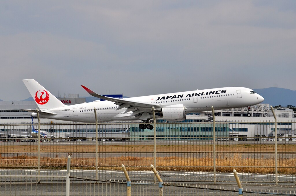 JAL551