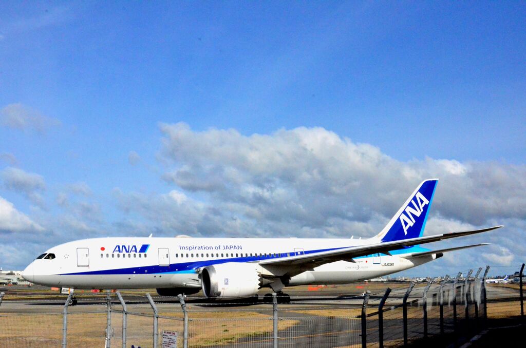 ANA 132