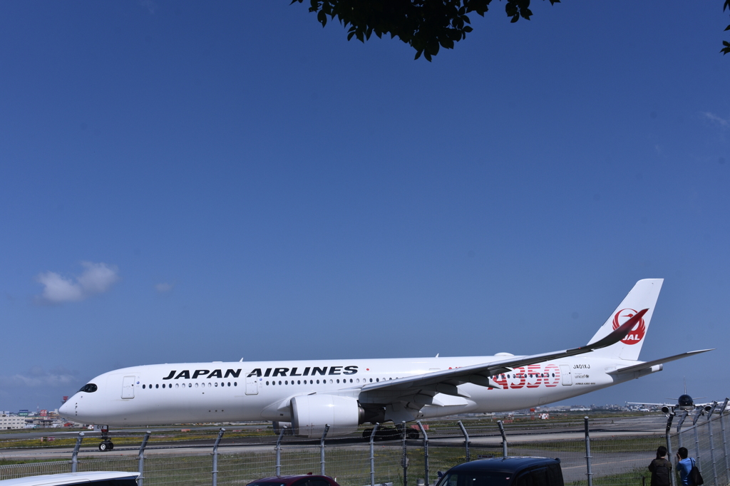 JAL 1192