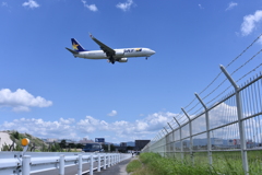 SKY 254