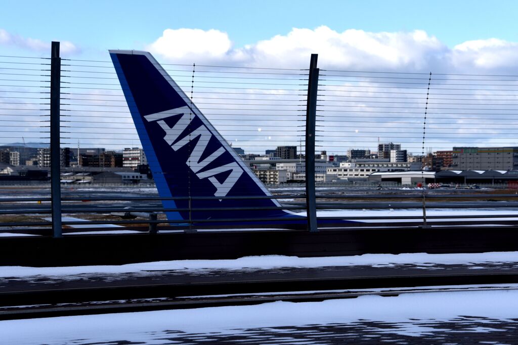ANA 1155 「博多の街に雪が降る」01