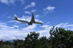 JAL 679