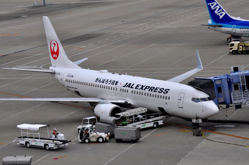 JAL 719