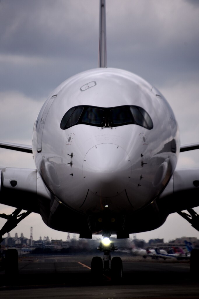 JAL 1336