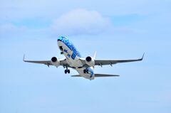 五輪旗・青         JAL 202