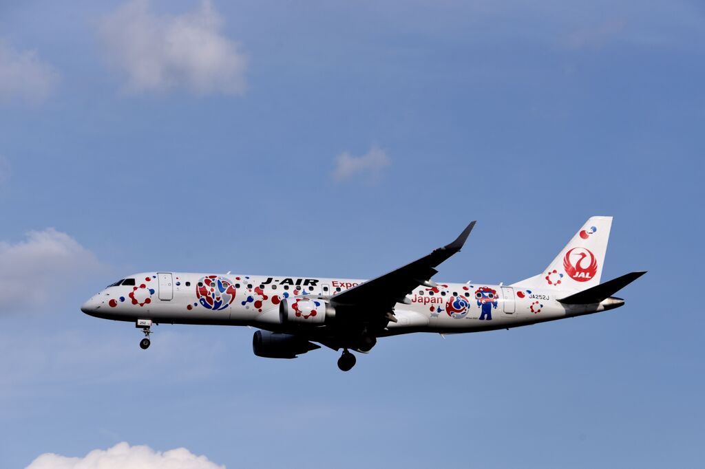 JAL 1319