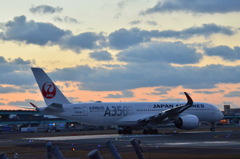 JAL 393