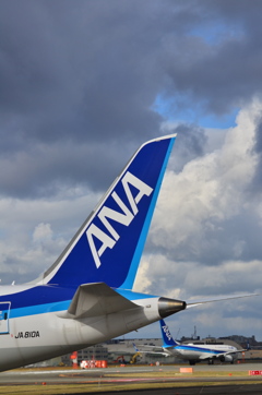 ANA 415