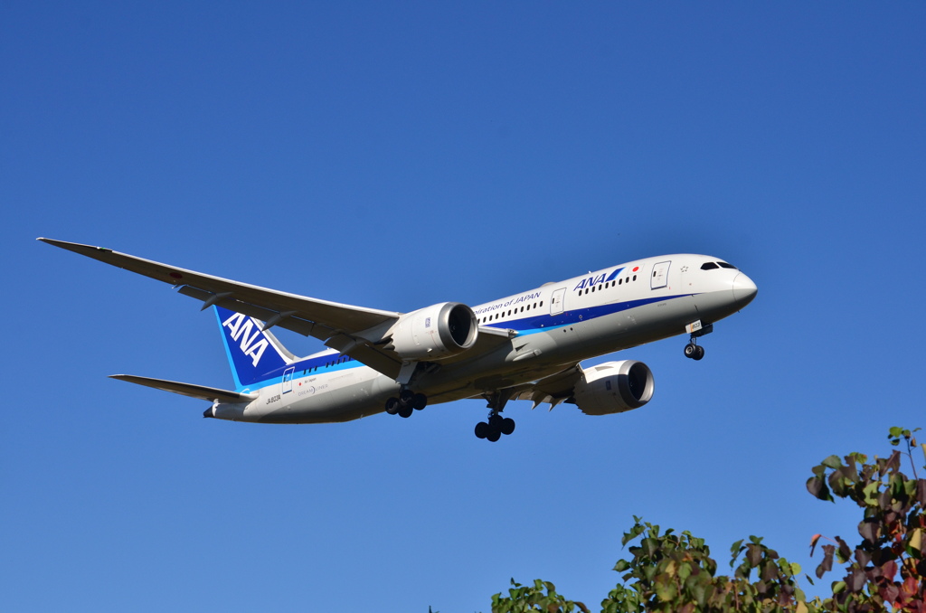 ANA 370