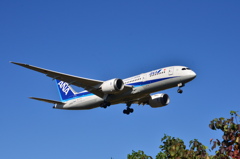 ANA 370