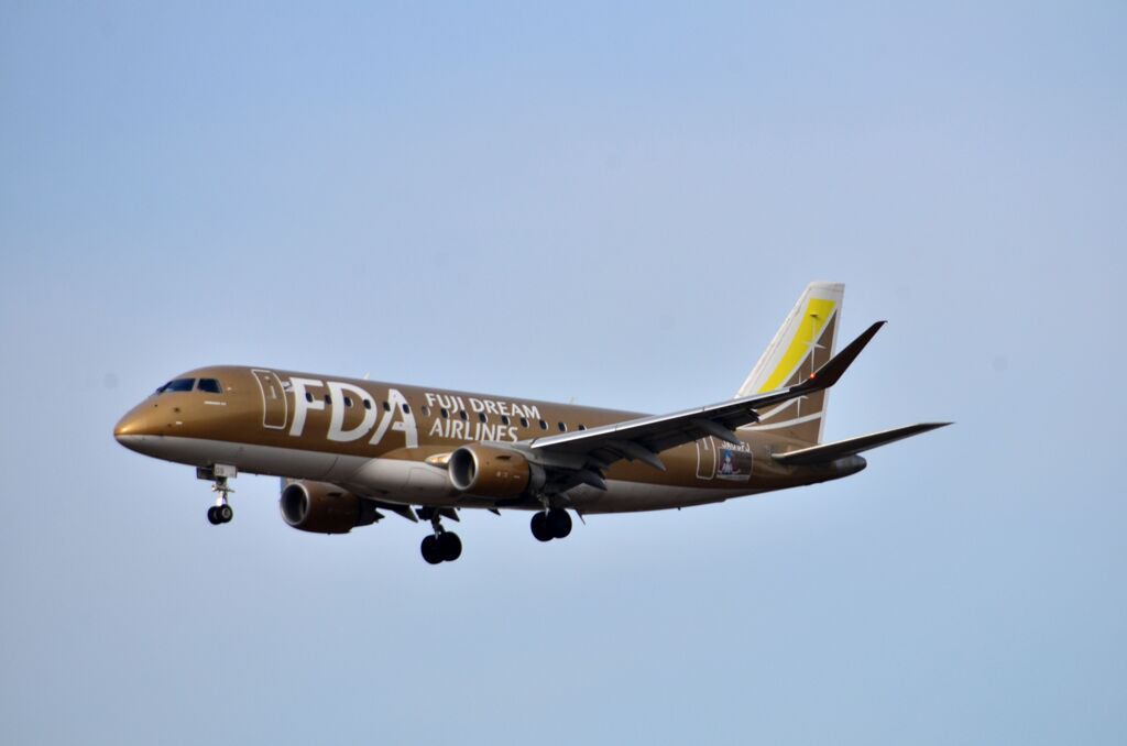 FDA 173
