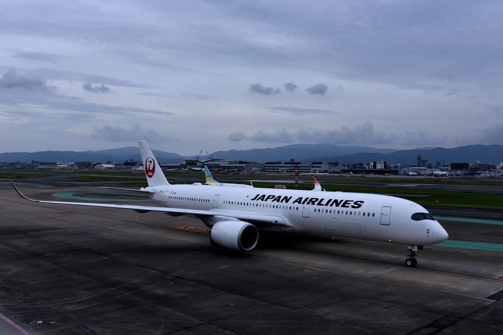 JAL 1025
