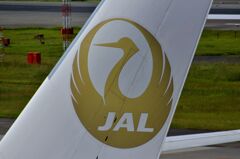 JAL 297   がんばろう日本！