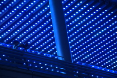 「博多駅イルミ2024」03