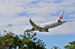JAL 414