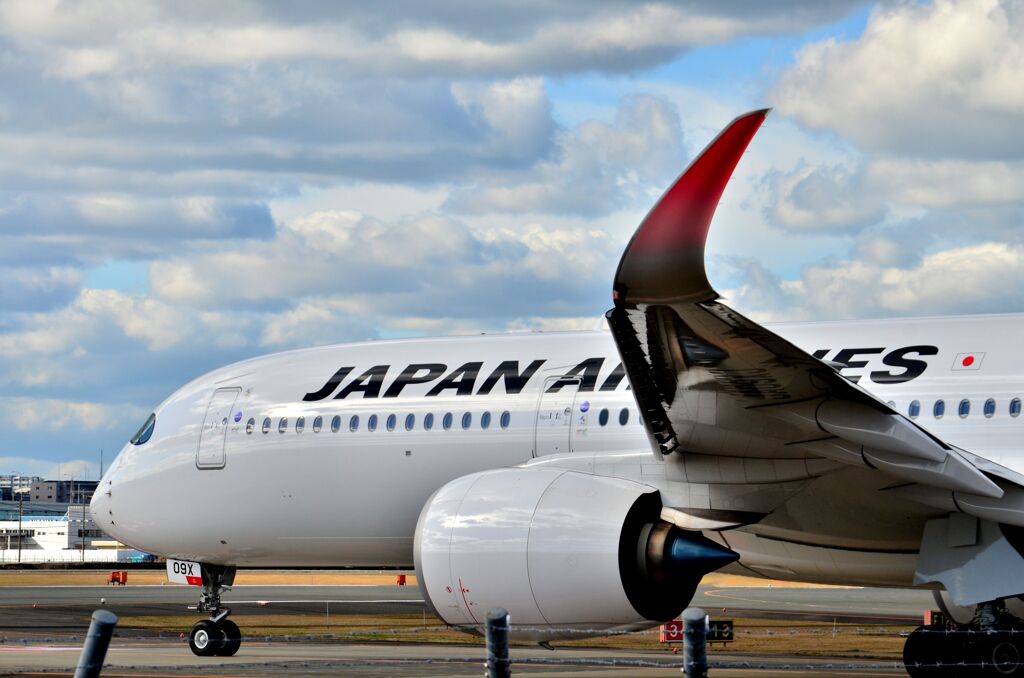 JAL 545