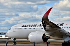 JAL 545