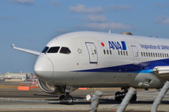 ANA 440