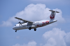 JAL 585