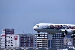 ANA 952