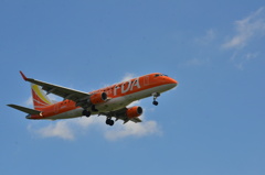 FDA 110